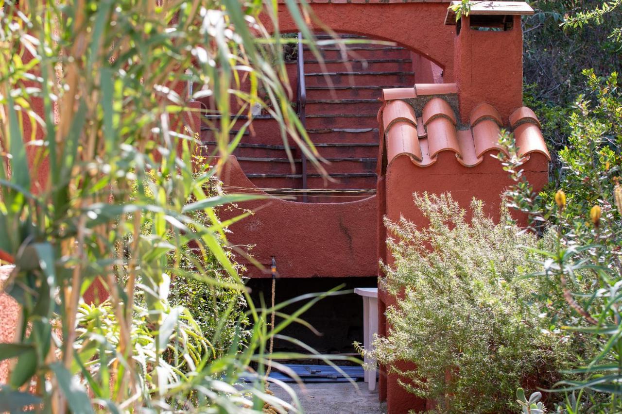 Villa Bougainvilliers Banyuls-sur-Mer Luaran gambar
