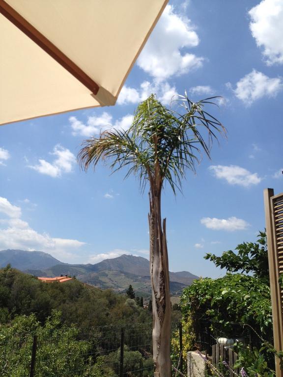 Villa Bougainvilliers Banyuls-sur-Mer Bilik gambar