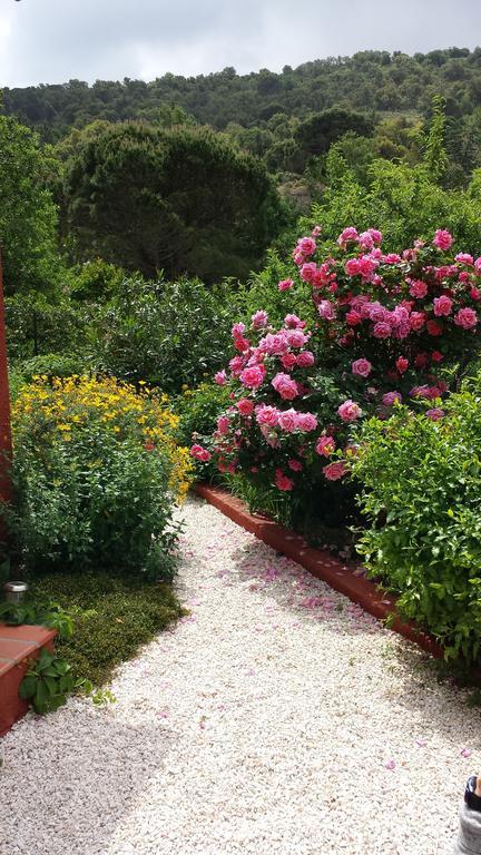 Villa Bougainvilliers Banyuls-sur-Mer Bilik gambar